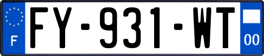 FY-931-WT