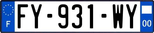 FY-931-WY