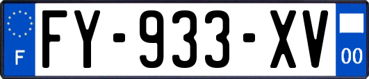 FY-933-XV