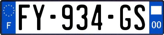FY-934-GS