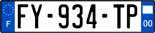 FY-934-TP