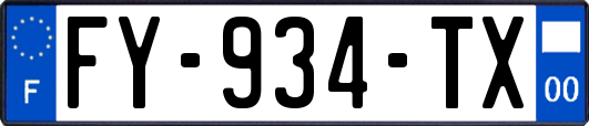 FY-934-TX