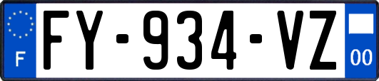 FY-934-VZ