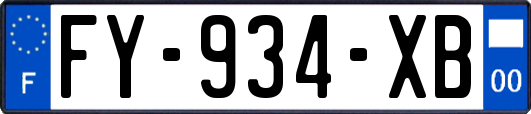 FY-934-XB