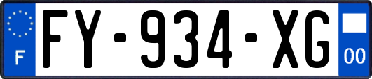 FY-934-XG