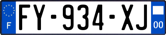 FY-934-XJ