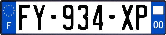 FY-934-XP