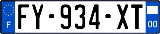 FY-934-XT