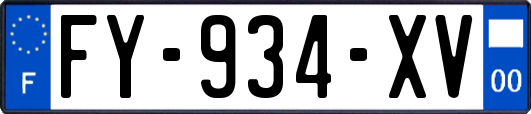 FY-934-XV