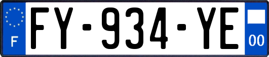 FY-934-YE