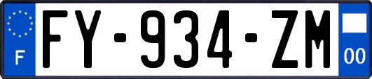 FY-934-ZM