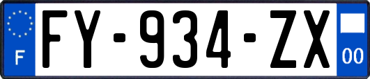 FY-934-ZX