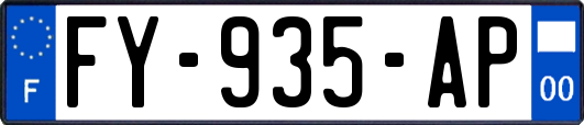 FY-935-AP
