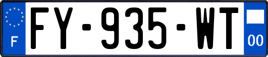 FY-935-WT