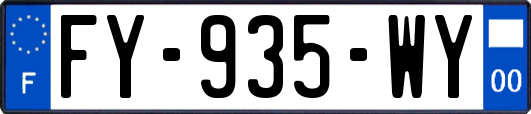 FY-935-WY