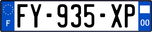 FY-935-XP