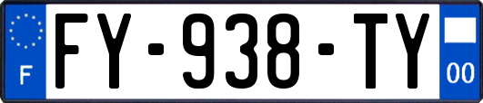 FY-938-TY