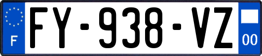 FY-938-VZ
