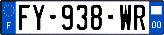 FY-938-WR