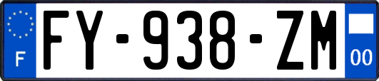 FY-938-ZM