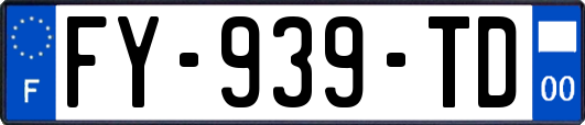 FY-939-TD