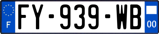 FY-939-WB
