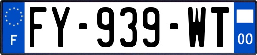 FY-939-WT