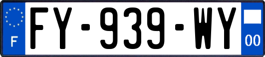 FY-939-WY