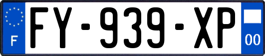 FY-939-XP