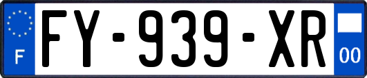 FY-939-XR