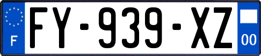 FY-939-XZ