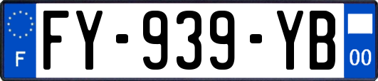 FY-939-YB