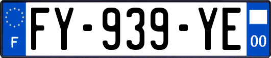 FY-939-YE