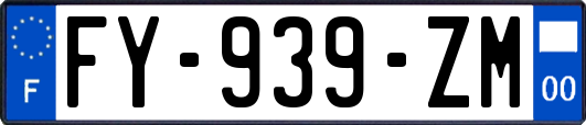 FY-939-ZM