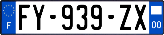 FY-939-ZX