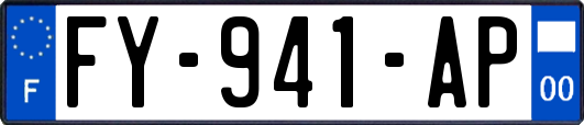 FY-941-AP