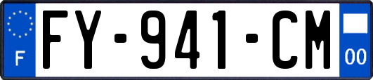 FY-941-CM