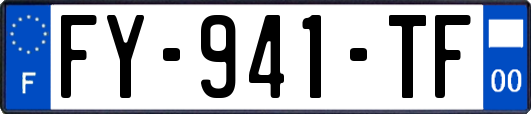 FY-941-TF
