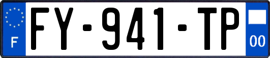 FY-941-TP