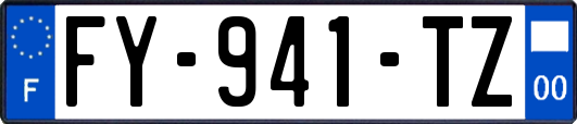 FY-941-TZ