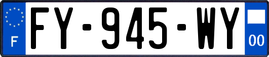 FY-945-WY