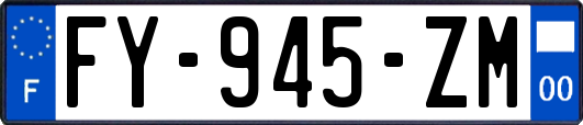 FY-945-ZM