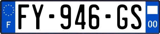 FY-946-GS