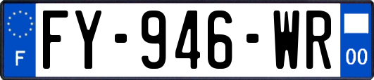 FY-946-WR