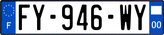 FY-946-WY