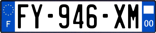 FY-946-XM