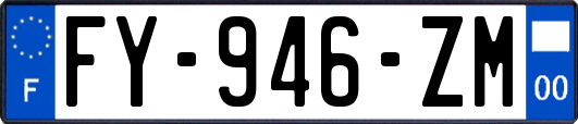 FY-946-ZM