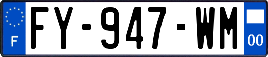 FY-947-WM