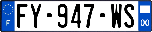 FY-947-WS