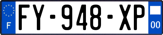FY-948-XP